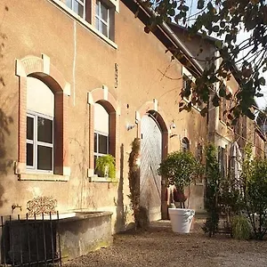 Matin De Saône Fontaines-Saint-Martin